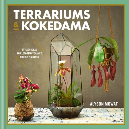 Terrariums & Kokedama