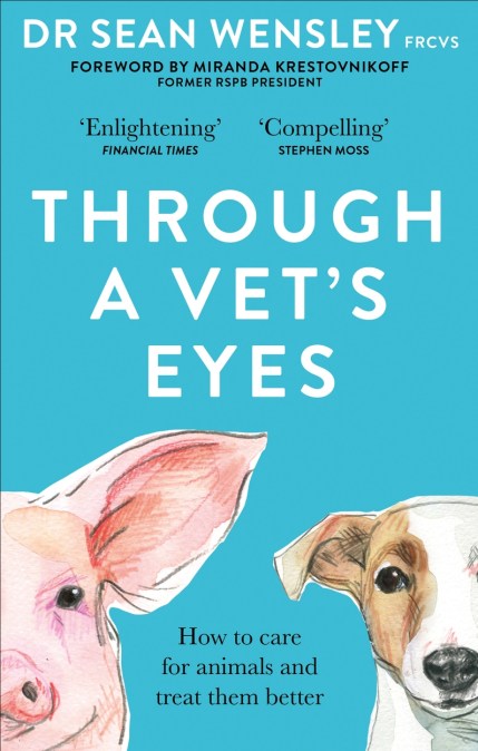 Through A Vet’s Eyes