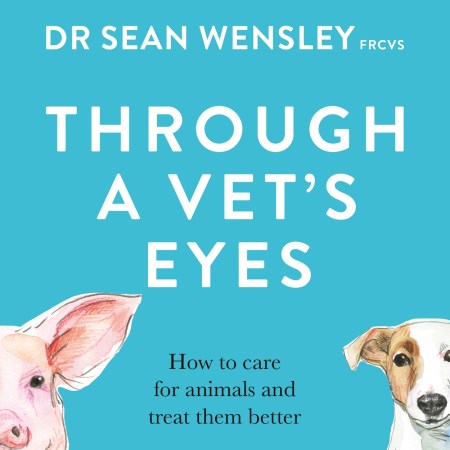 Through A Vet’s Eyes